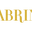 Shop Fabrini logo