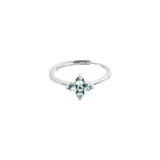 Clementina | Blumenring